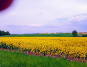 Nasy Holiday, Biskupiec